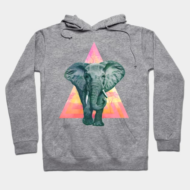 Elephant #2 Hoodie by LauraGraves